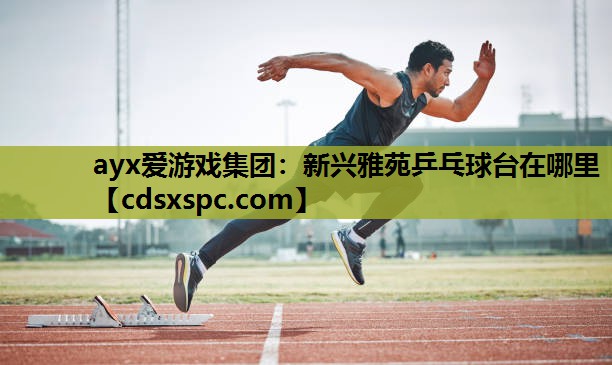 新兴雅苑乒乓球台在哪里