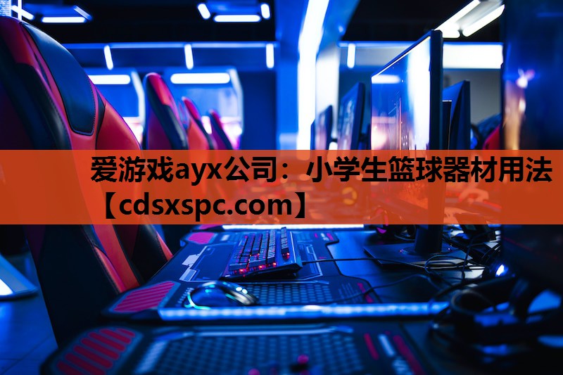 小学生篮球器材用法