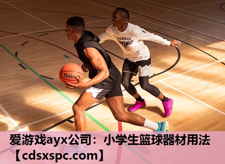 小学生篮球器材用法