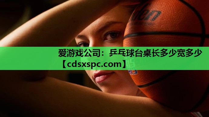乒乓球台桌长多少宽多少