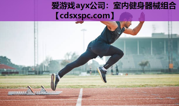 室内健身器械组合