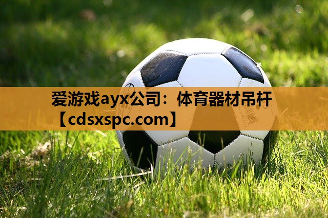 体育器材吊杆