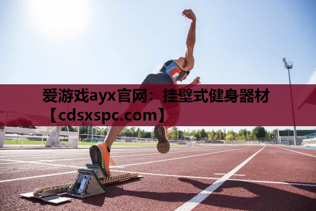 挂壁式健身器材
