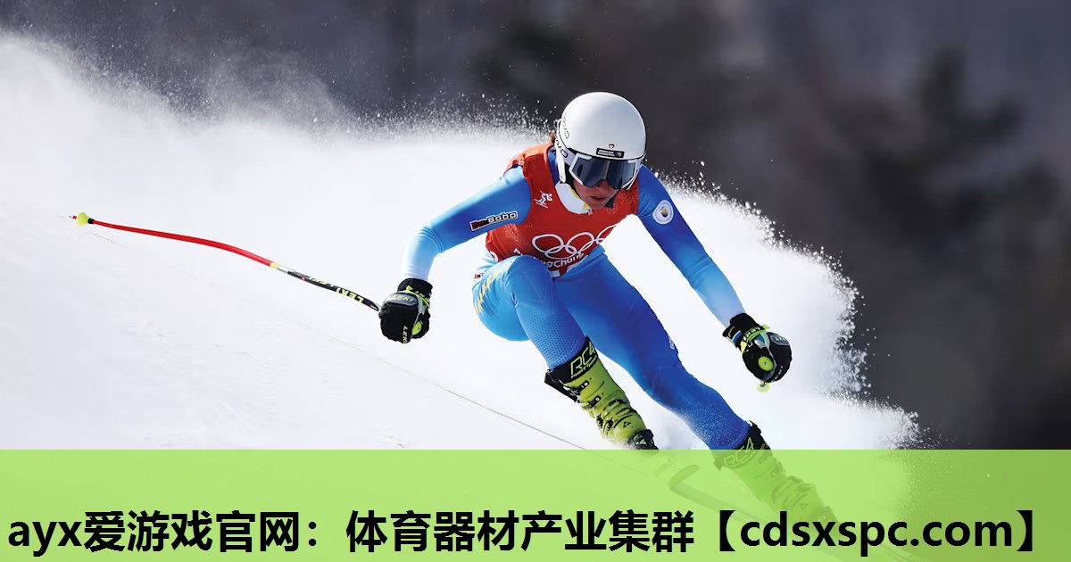 体育器材产业集群
