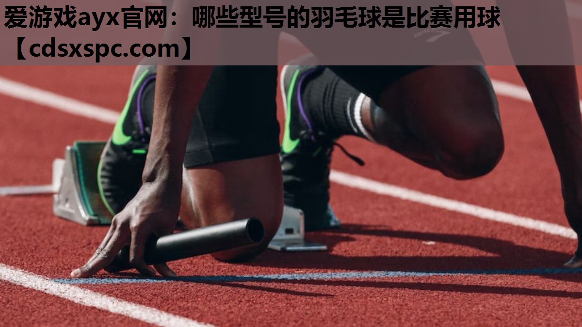 哪些型号的羽毛球是比赛用球