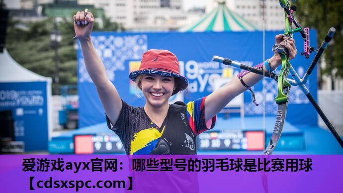 哪些型号的羽毛球是比赛用球