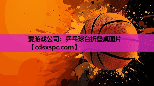 乒乓球台折叠桌图片