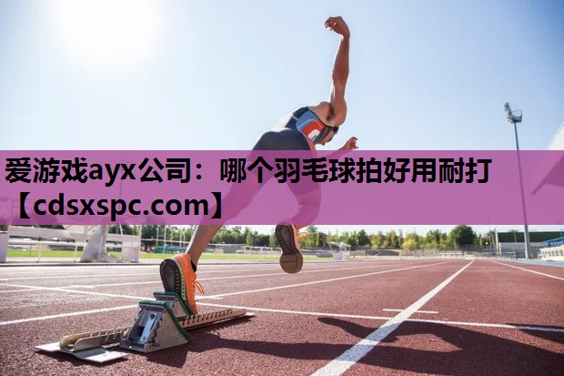 哪个羽毛球拍好用耐打