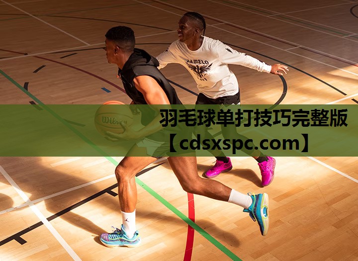 羽毛球单打技巧完整版