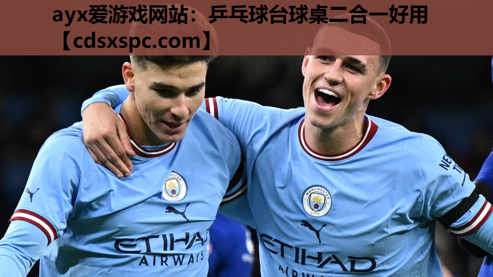 乒乓球台球桌二合一好用