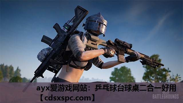 乒乓球台球桌二合一好用
