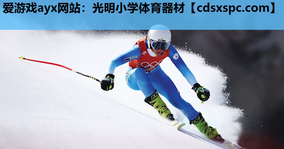 光明小学体育器材