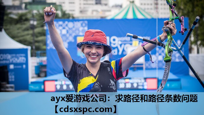 求路径和路径条数问题