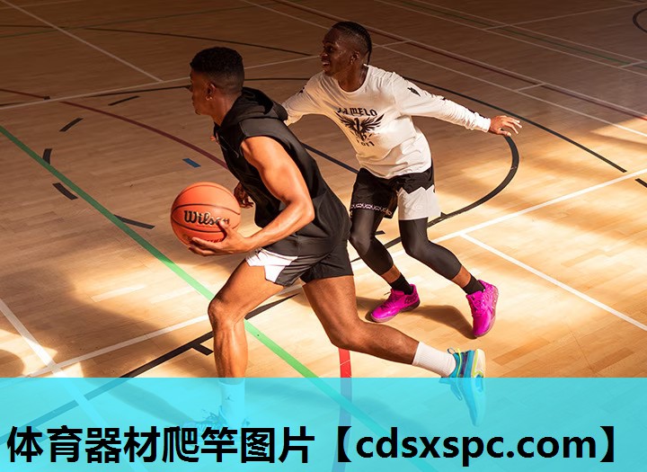 体育器材爬竿图片