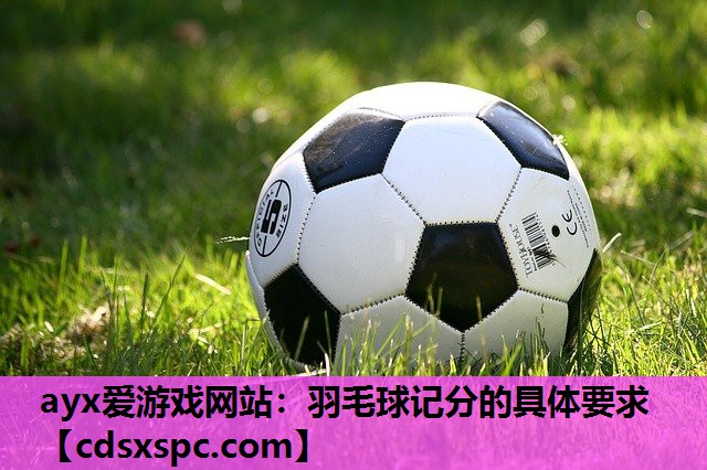 羽毛球记分的具体要求