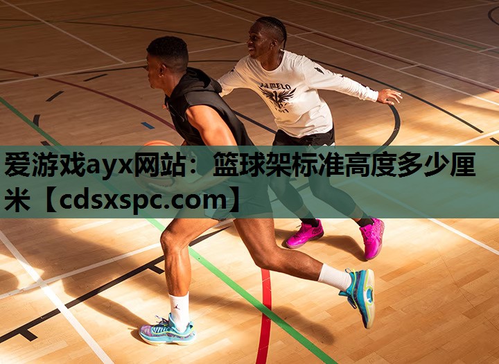 篮球架标准高度多少厘米