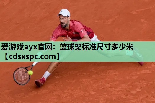 篮球架标准尺寸多少米