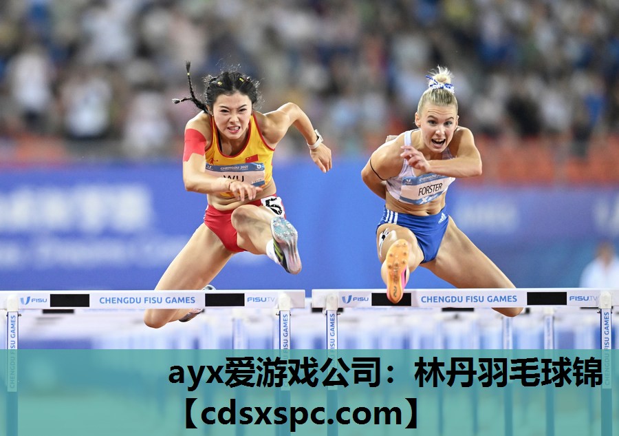 林丹羽毛球锦