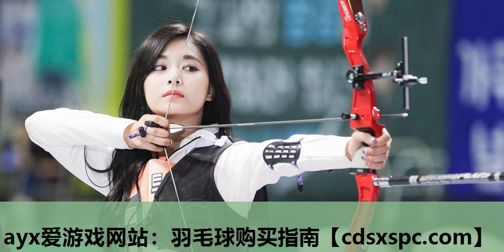 羽毛球购买指南