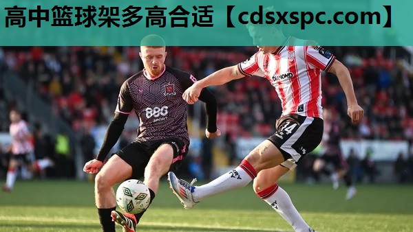 高中篮球架多高合适