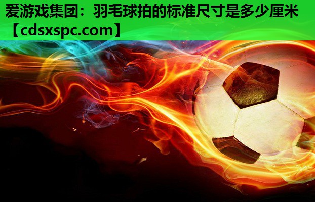 羽毛球拍的标准尺寸是多少厘米