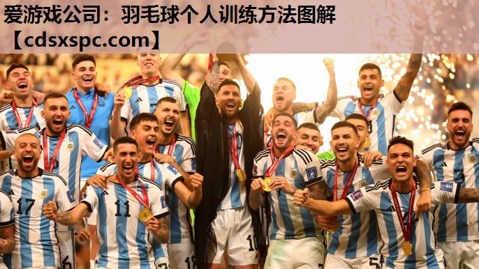 羽毛球个人训练方法图解