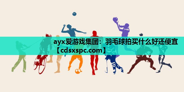 羽毛球拍买什么好还便宜