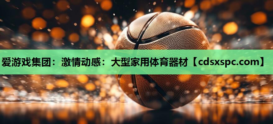 激情动感：大型家用体育器材