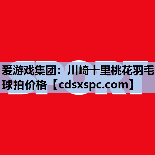 川崎十里桃花羽毛球拍价格