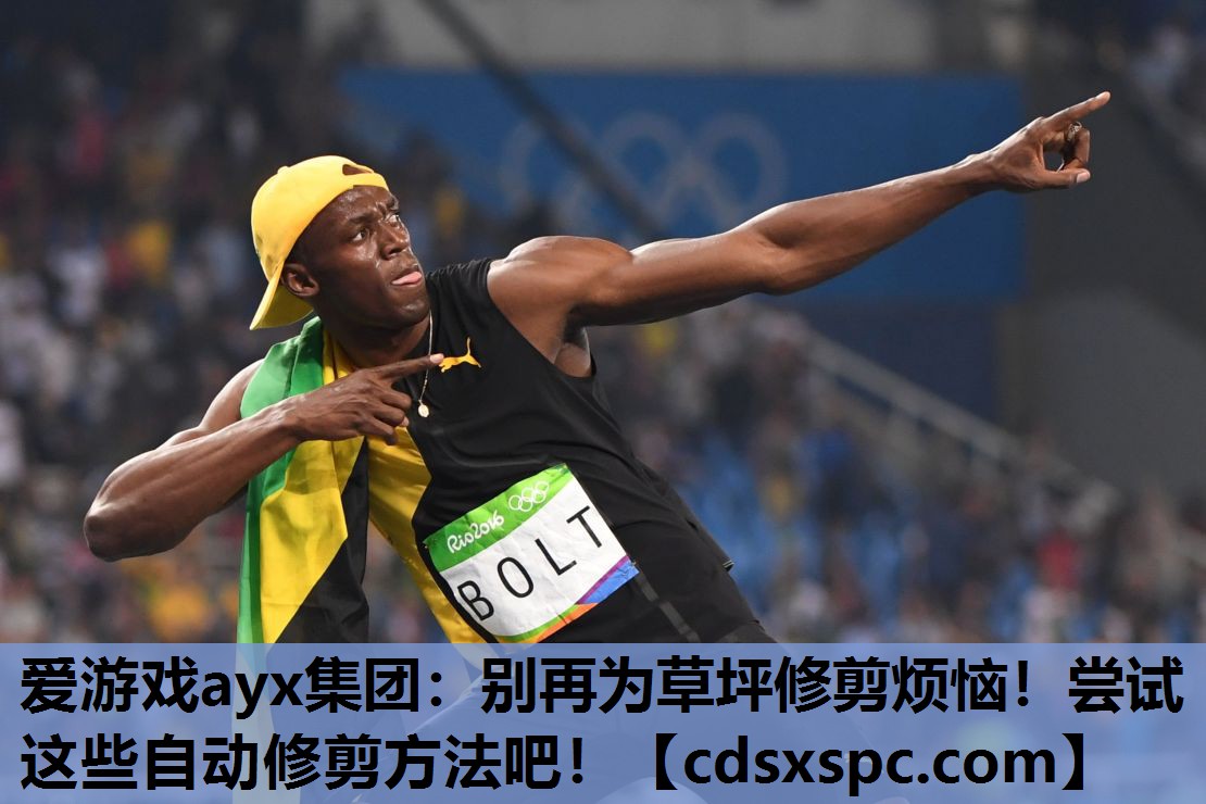 别再为草坪修剪烦恼！尝试这些自动修剪方法吧！