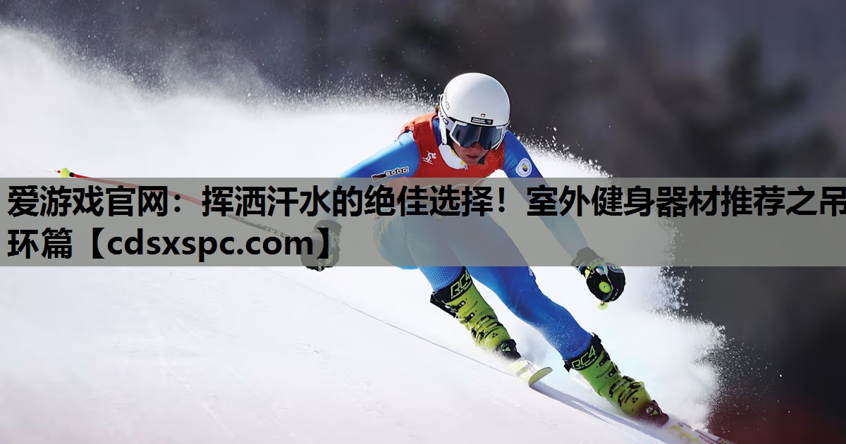 挥洒汗水的绝佳选择！室外健身器材推荐之吊环篇