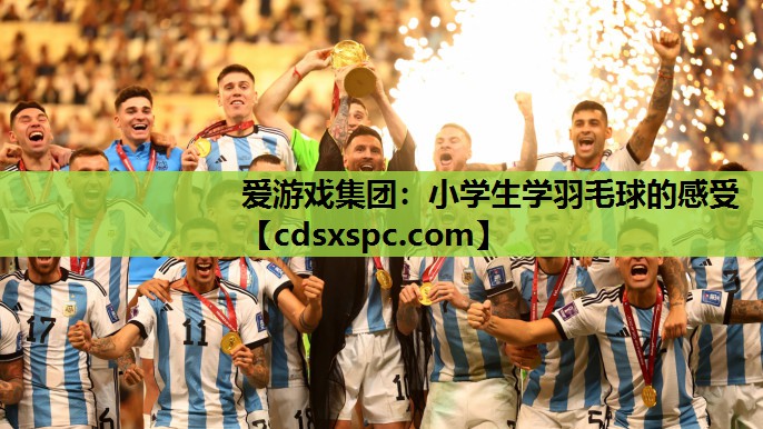 小学生学羽毛球的感受
