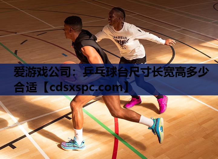 乒乓球台尺寸长宽高多少合适