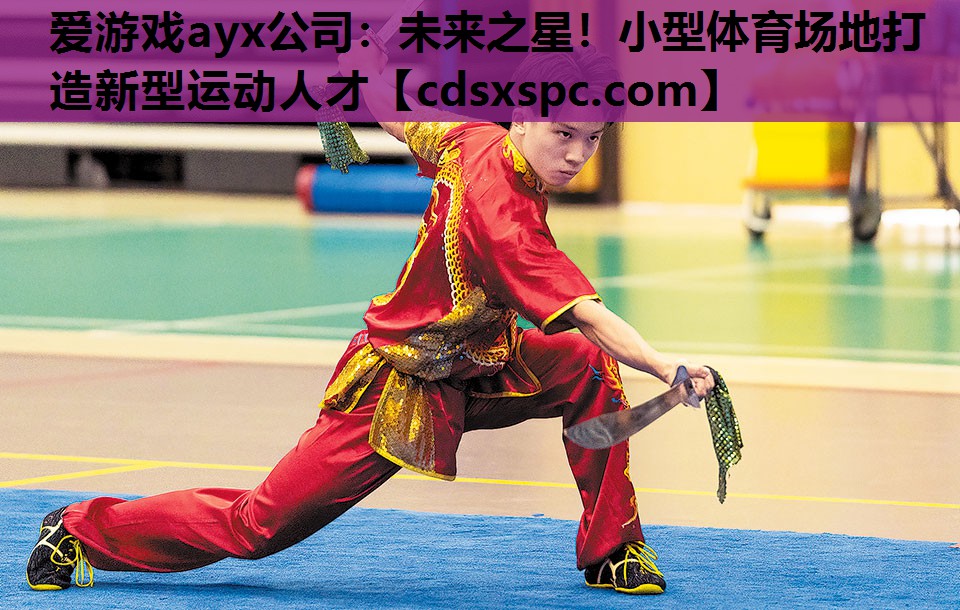 未来之星！小型体育场地打造新型运动人才