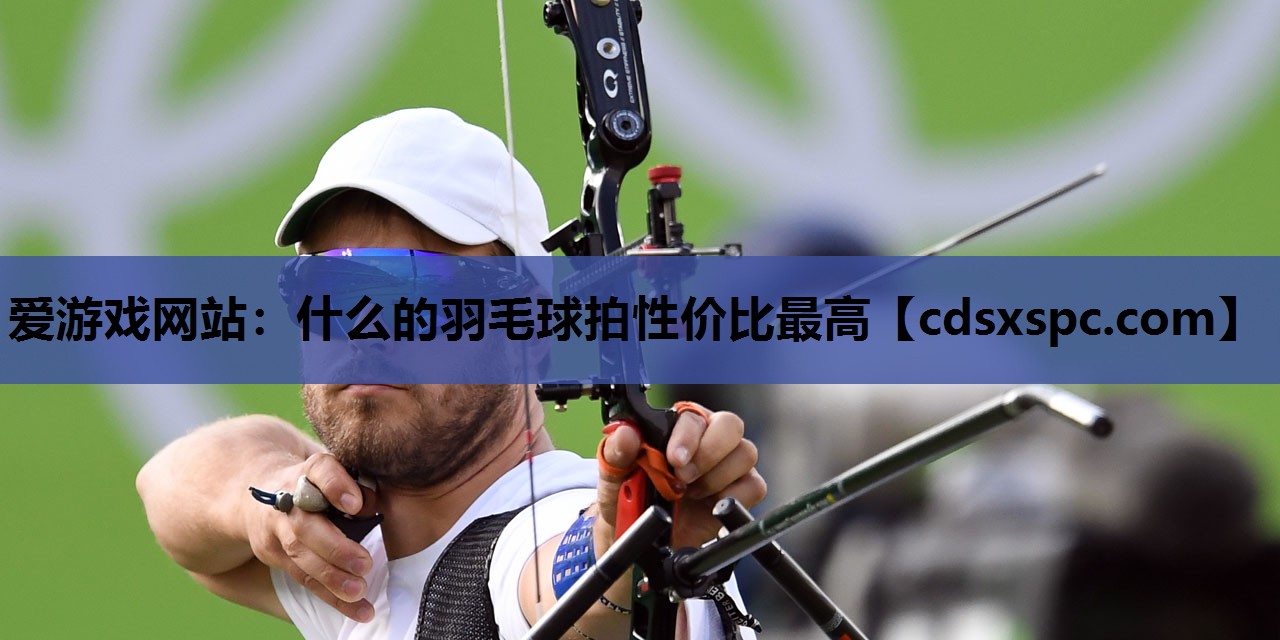 什么的羽毛球拍性价比最高