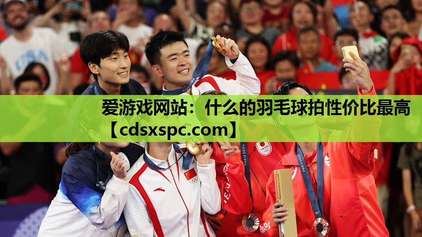 什么的羽毛球拍性价比最高