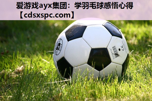 学羽毛球感悟心得