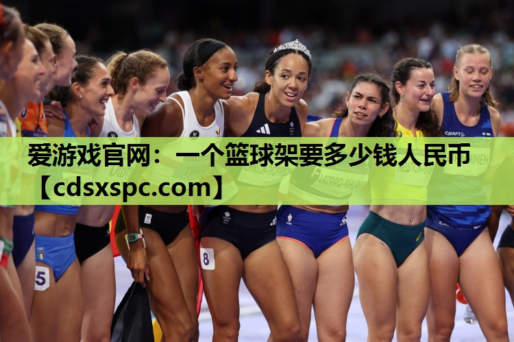 一个篮球架要多少钱人民币