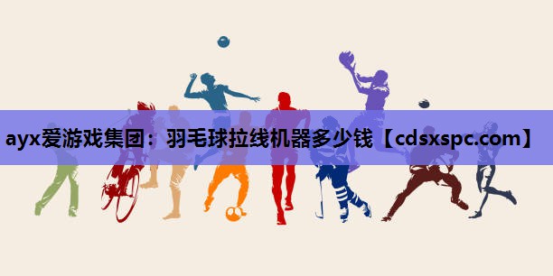 羽毛球拉线机器多少钱