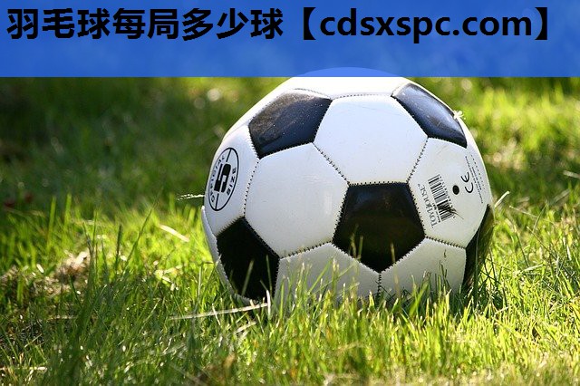 羽毛球每局多少球