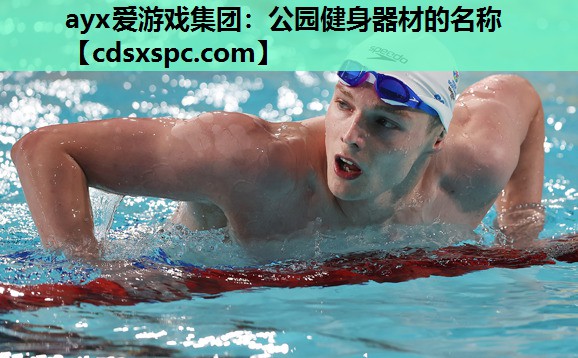 公园健身器材的名称