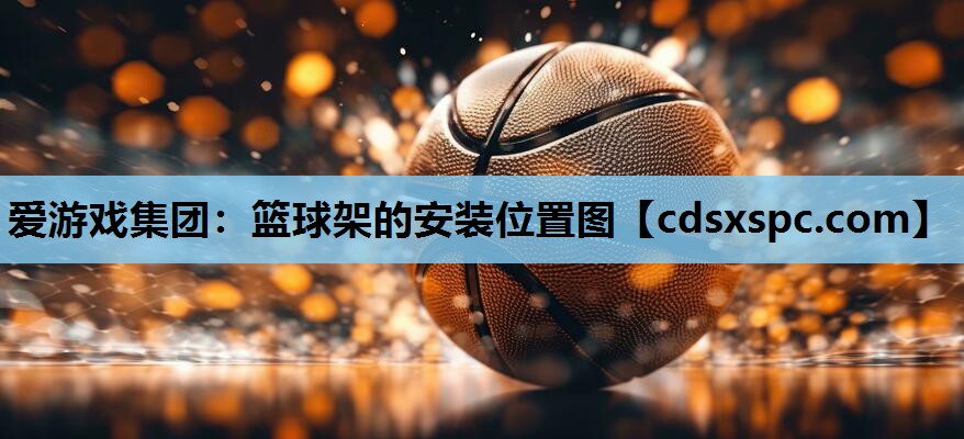 篮球架的安装位置图