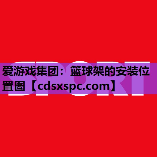 篮球架的安装位置图