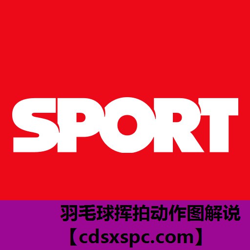 羽毛球挥拍动作图解说