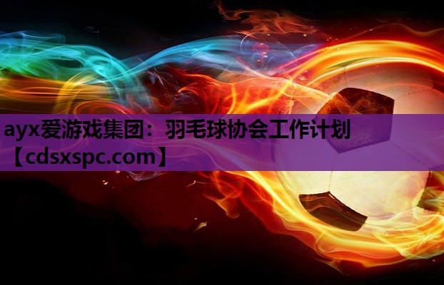 羽毛球协会工作计划