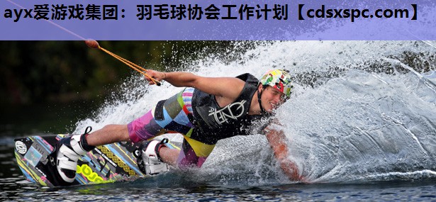 羽毛球协会工作计划