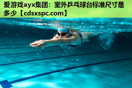 室外乒乓球台标准尺寸是多少