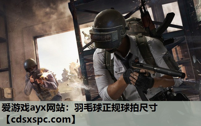 羽毛球正规球拍尺寸