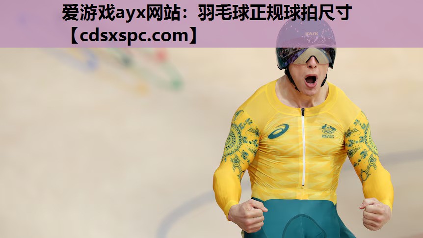 羽毛球正规球拍尺寸