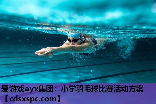 小学羽毛球比赛活动方案